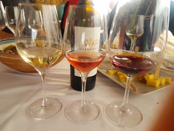 cycling wine Romania cicloturism viticol